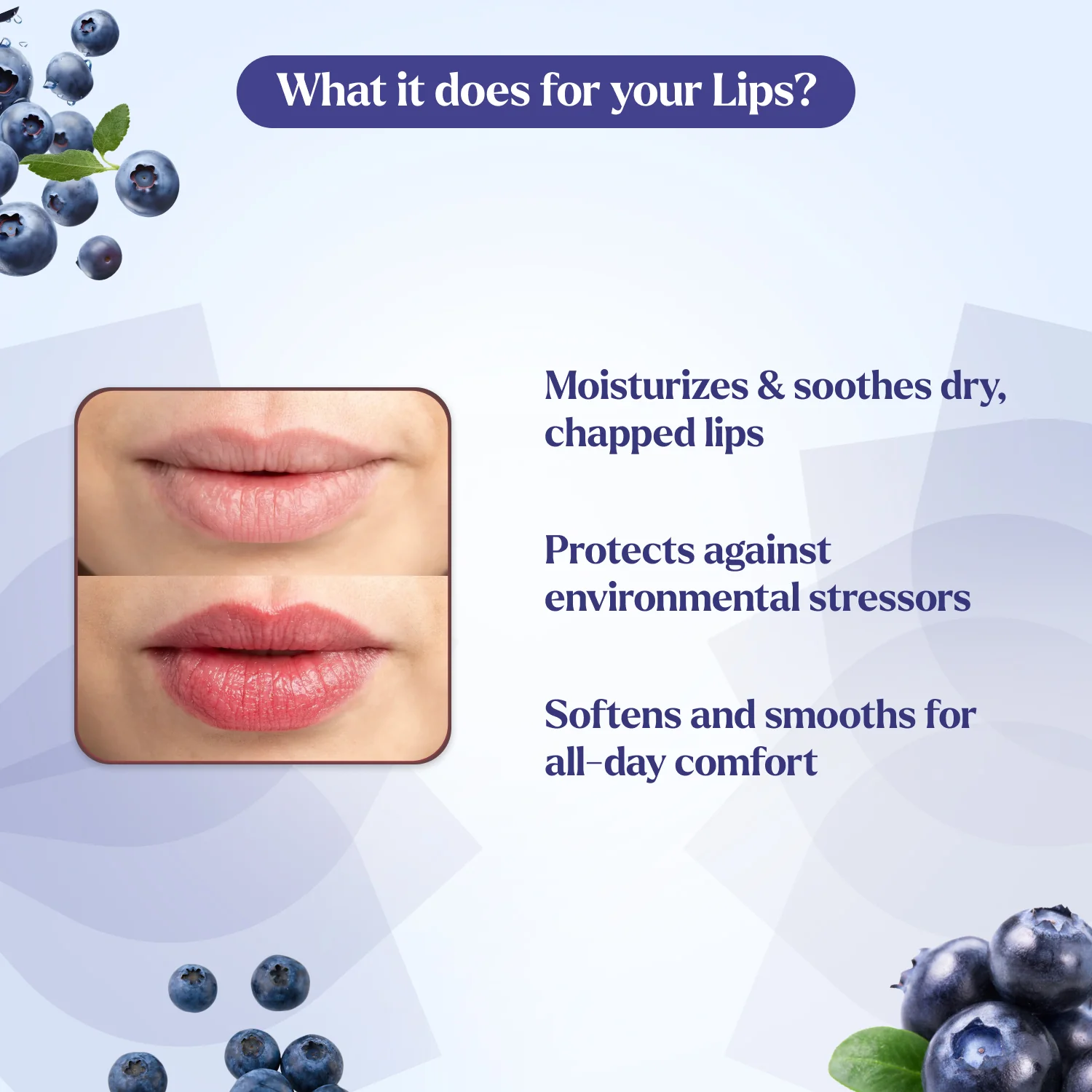 Lip Balm Pack of 2 Blueberry & Strawberry Lip Balm - Image 3