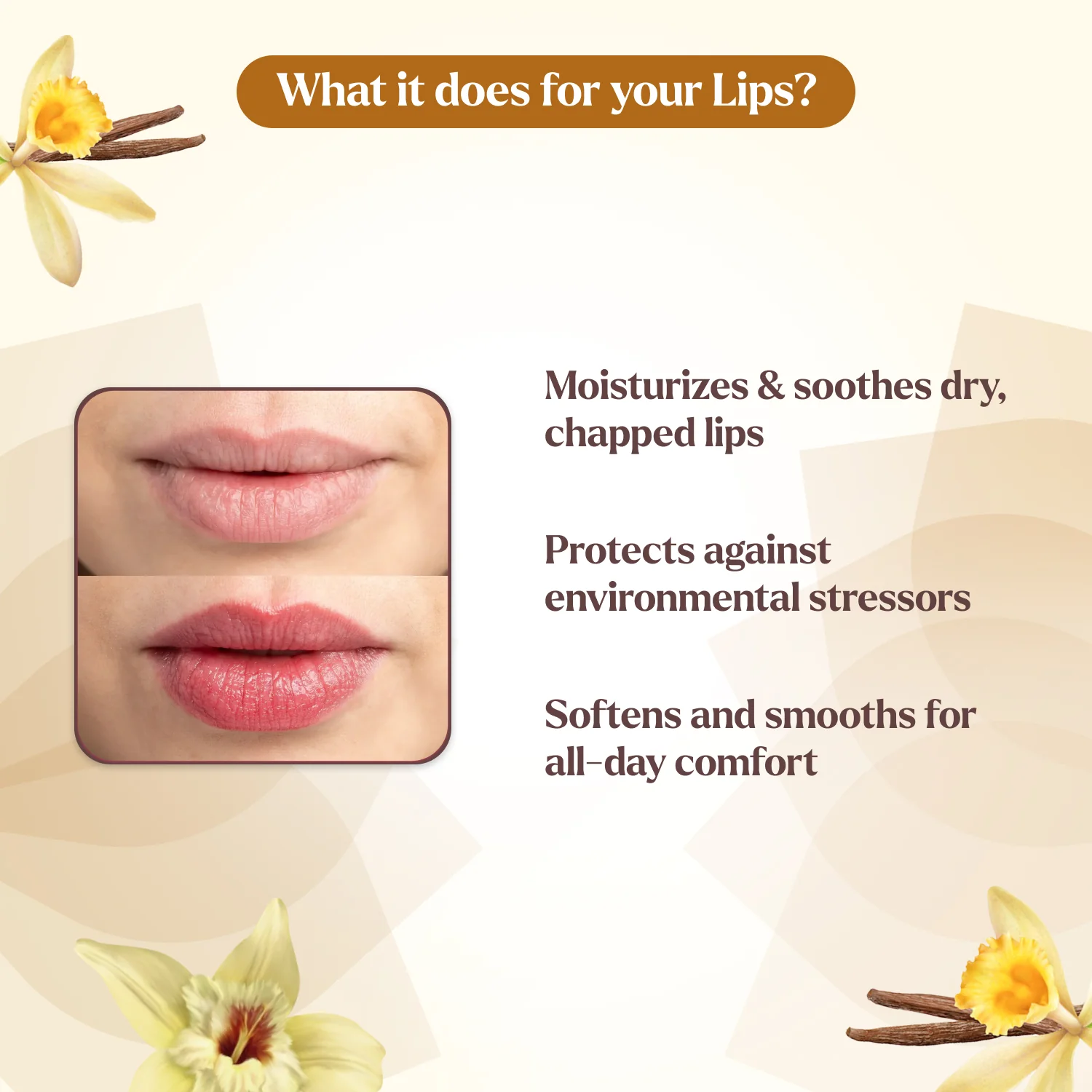 Lip Balm Pack of 4 Blueberry, Vanilla, Mango & Strawberry Lip Balm - Image 17