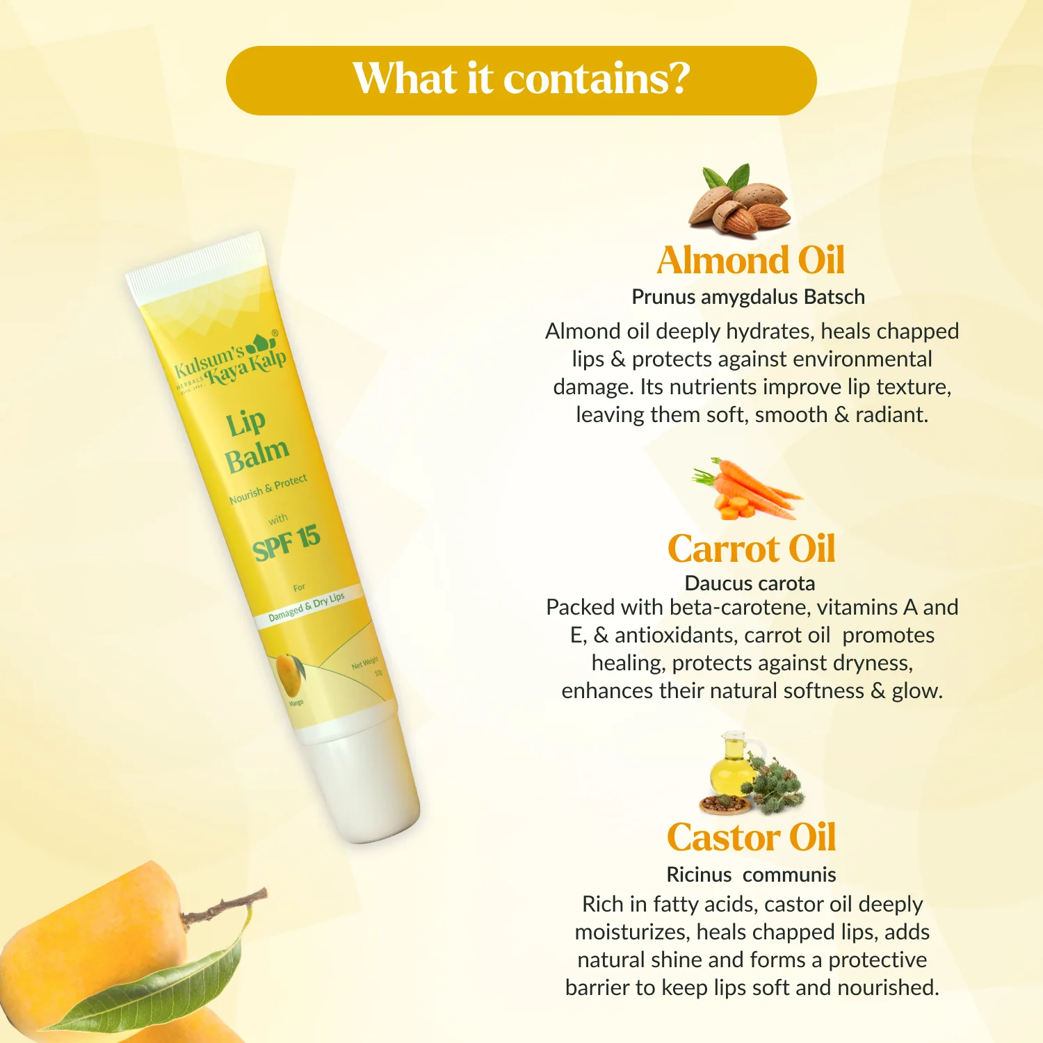 Lip Balm Pack of 4 Blueberry, Vanilla, Mango & Strawberry Lip Balm - Image 7