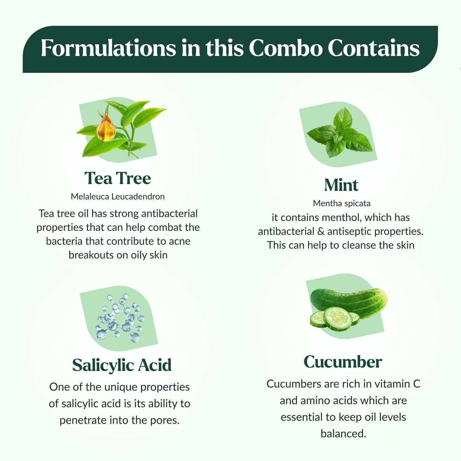 Tea Tree Combo Kit for Oily Skin - Image 4